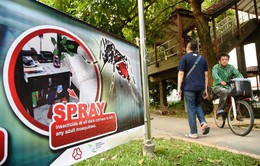 Số ca nhiễm virus Zika ở Singapore tiếp tục tăng