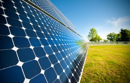 Năng lượng mặt trời đã trở thành nguồn điện rẻ nhất