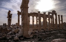 Công tác tái thiết thành cổ Palmyra tại Syria