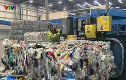 Ngành tái chế nhựa ở Anh lao đao do giá dầu giảm