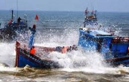 Quảng Ngãi: Tàu cá bị sóng đánh chìm khi vào bờ bán hải sản