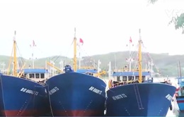 Phó Thủ tướng yêu cầu rà soát chất lượng tàu cá đóng theo Nghị định 67