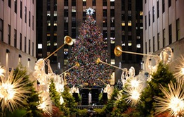 Lễ hội thắp sáng cây thông Noel khổng lồ tại New York