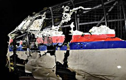 Ngoại trưởng Australia: Công bố danh tính thủ phạm bắn rơi MH17 vào cuối năm