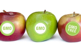 Mỹ dán nhãn thực phẩm biến đổi gen