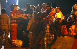 Đức sẽ cấm chế độ đa thê ở người di cư xin tị nạn
