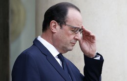 Tổng thống Pháp họp khẩn với các Bộ trưởng về việc máy bay Ai Cập mất tích