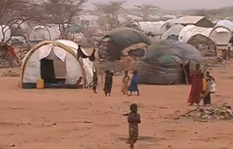 Kenya đóng cửa trại tị nạn lớn nhất thế giới