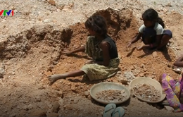 Ấn Độ: Cứ 8 phút lại có 1 trẻ em bị mất tích