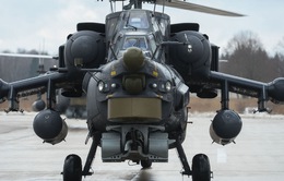 Nga bán cho Algeria 40 trực thăng chiến đấu MI-28NE