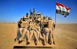 Quân đội Iraq giành lại nhiều thị trấn quan trọng gần Mosul từ tay IS