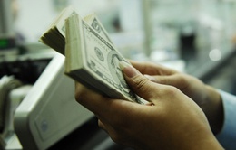 Hôm nay (24/11), các ngân hàng tiếp tục tăng tỷ giá USD