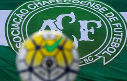 ĐT Brazil và ĐT Colombia tổ chức đá giao hữu ủng hộ Chapecoense
