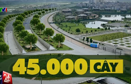 Hà Nội: Sẽ trồng 45.000 cây bóng mát trên Đại lộ Thăng Long