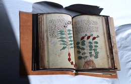 Bản thảo cuốn sách cổ bí ẩn nhất thế giới được xuất bản