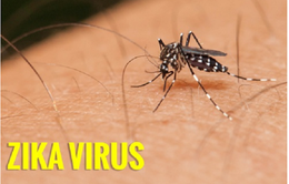 WHO hỗ trợ Việt Nam phòng chống virus Zika