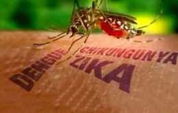 Phòng chống Zika: Bộ Y tế chưa hạn chế đi lại