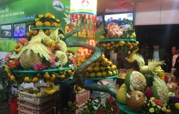 Quảng bá, tôn vinh thương hiệu cam và các nông sản của tỉnh Hà Tĩnh