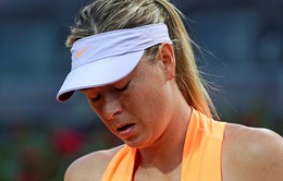 Maria Sharapova rút lui khỏi Cincinnati 2017