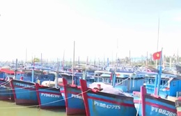 Hàng trăm tàu cá Phú Yên không thể ra khơi vì mắc cạn