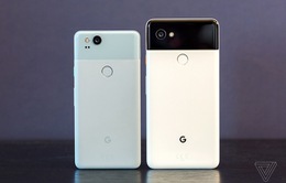 Google chính thức ra mắt bộ đôi Pixel 2 và Pixel 2 XL