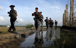 Myanmar bác bỏ cuộc điều tra của LHQ về tra tấn người Rohingya