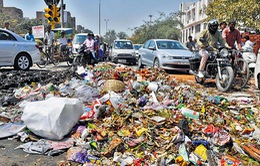 Công nhân vệ sinh đình công, thủ đô Ấn Độ ngập trong rác