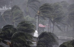 Tổng thống Mỹ phê chuẩn hỗ trợ khẩn cấp cho bang Florida