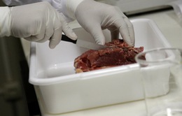Trung Quốc, Hàn Quốc ngừng nhập khẩu thịt từ Brazil