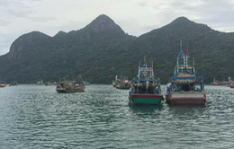 Côn Đảo: Cưỡng chế 120 ngư dân không chịu vào tránh bão