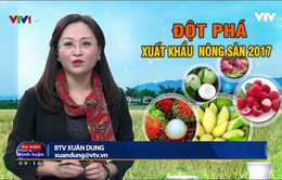 Ngành xuất khẩu nông sản làm thế nào để có một năm 2017 bứt phá ngoạn mục?