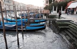 Thành phố "nổi" Venice, Italy dần khô cạn trầm trọng