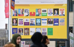 Bầu cử Quốc hội Hà Lan: Đảng cực hữu có thể dẫn đầu
