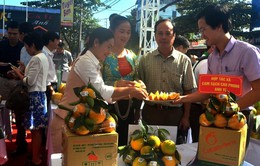 Đẩy mạnh hợp tác tiêu thụ nông sản an toàn giữa tỉnh Hòa Bình và Hà Nội