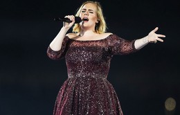 Adele sẽ ngừng đi lưu diễn?