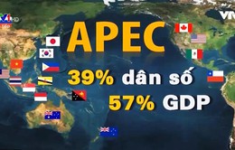 APEC Việt Nam 2017: Tạo động lực mới cho hợp tác APEC