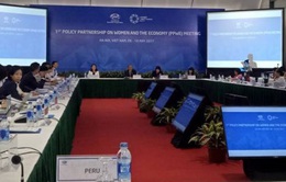 Khai mạc hội nghị các quan chức cấp cao APEC lần thứ 2