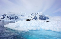 Thế giới đang cạnh tranh thầm lặng ở “miếng bánh ngon” Bắc Cực