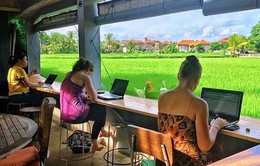 Đảo Bali - Điểm đến lý tưởng của du mục kỹ thuật số