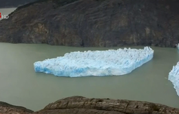 Tảng băng trôi lớn tách khỏi sông băng ở Chile