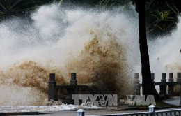 Trung Quốc ban bố cảnh báo vàng do bão Pakhar