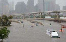 Siêu bão Harvey gây thiệt hại kinh tế nghiêm trọng ở bang Texas, Mỹ