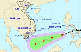 Các tỉnh thành ven biển từ Quảng Ninh đến Kiên Giang ứng phó bão số 15