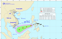 Các tỉnh, thành phố ven biển kiểm soát tàu thuyền tránh bão Kai-Tak