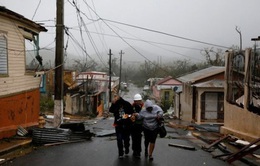 Puerto Rico ban bố lệnh giới nghiêm sau khi bão Maria quét qua