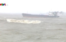 Bão số 12 đánh chìm 6 tàu hàng ở Bình Định, 26 thuyền viên mất tích
