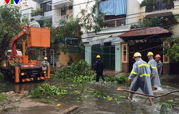 Bão số 12 càn quét Khánh Hòa, nhiều nhà dân bị đổ sập, hư hỏng nặng
