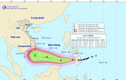 Chủ động ứng phó với bão Tembin