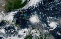 Pháp ra cảnh báo cao nhất đối với bão Jose