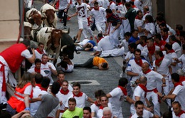 Tây Ban Nha: Bò tót húc 5 người nhập viện trong lễ hội đấu bò